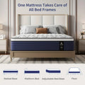 King mattress, Queen mattress, Full mattress, Single bed